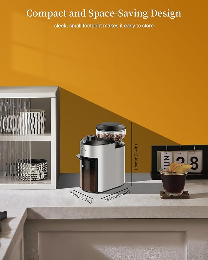 Wancle Burr Coffee Grinder Electric with 28 Grind Settings, 2-12 Cup Capacity Coffee Bean Grinder for Espresso, Drip & French Press, Stainless Steel Coffee Grinders with Chamber Cleaning Brush