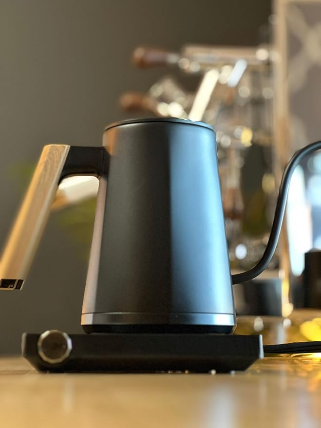Turin Electric Pour Over Kettle | 600ml Stainless Steel Gooseneck Kettle with Precise Temperature Control, Rapid Heating, and Ergonomic Handle
