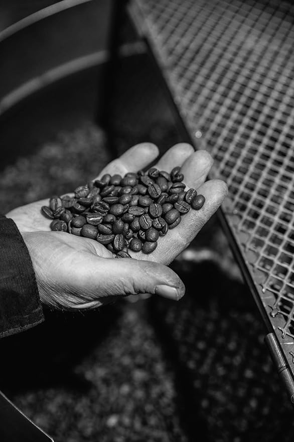 Bristot Cremoso Capsules compatible with Lavazza Blue* Machines | Medium Roast | 1050 Count