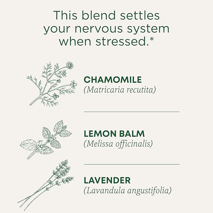Traditional Medicinals Tea, Organic Chamomile & Lavendar, Stress Relief, 96 Tea Bags (6 Pack)