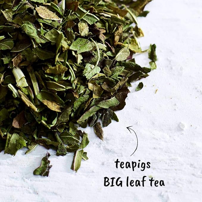 Teapigs Peppermint Leaves Loose Tea Made With Whole Leaves (1 Pack Of 100g)