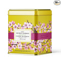 Life Plus Style Gourmet The Secret Garden Organic Cherry Blossom Green Tea 50 Tea Bags Sakura Sugar Free Classic Gift Tin