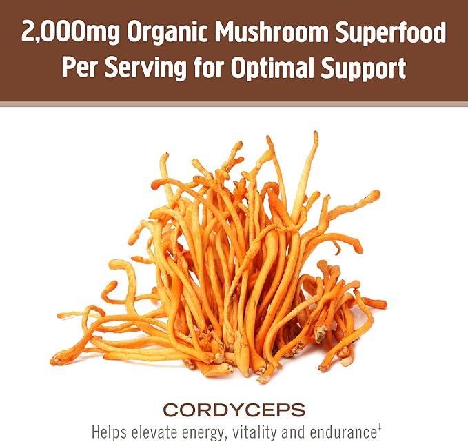 OM Mushroom Cordyceps Powder 7.05 oz (100 Servings) – Organic, Vegan, Non-GMO, Gluten-Free – Energy, Stamina & Endurance Support – Adaptogenic Superfood for Sports, Performance, Smoothies & Tea