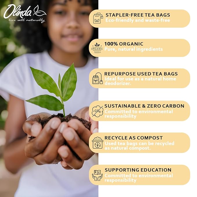 Olinda Turmeric Ginger & Ginseng Organic Herbal Tea 100 Tea Bags Caffeine-Free Brew Hot or Iced Tea Gift for Women & Tea Lovers