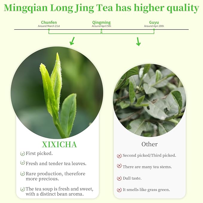 XIXICHA Longjing Tea New Tea Grade AAA Dragon Well Green Tea Loose Leaf Hangzhou Dragonwell Chinese Green Tea Fresh Bean Aroma（96 cups） 龙井茶 绿茶 明前龙井 茶叶 4.23oz/120g