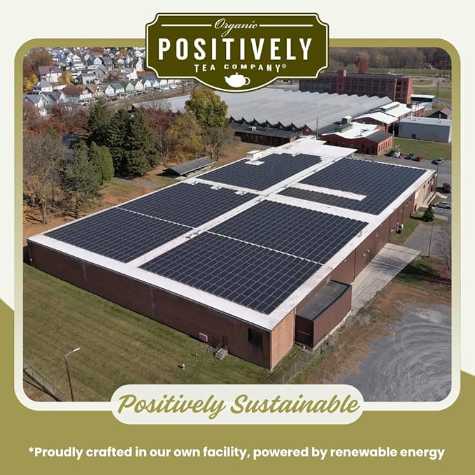 Organic Positively Tea Company, Toasty Mate Chai Tea, Loose Leaf, 4 Ounce