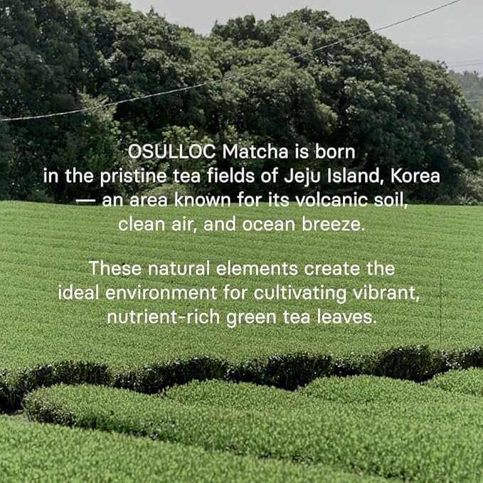 OSULLOC Volcanic Isle Matcha Powder, Ceremonial Grade Korean Matcha for lattes, Christmas gift idea, Green tea powder from Jeju island (1.41oz, 40g)