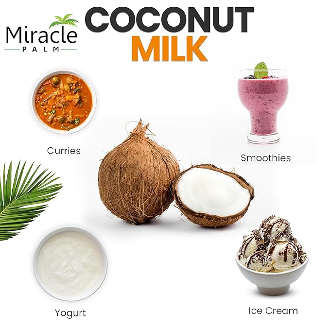 Miracle Palm Coconut Milk Unsweetened - Coconut Milk Canned, Additive Free Organic 13.5 Fl Oz (Pack of 3)