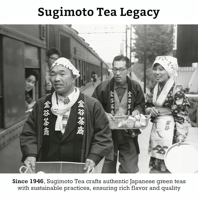 SUGIMOTO TEA Japanese Sencha Green Tea Loose Leaf 3.5 oz (100 g) Pack of 1