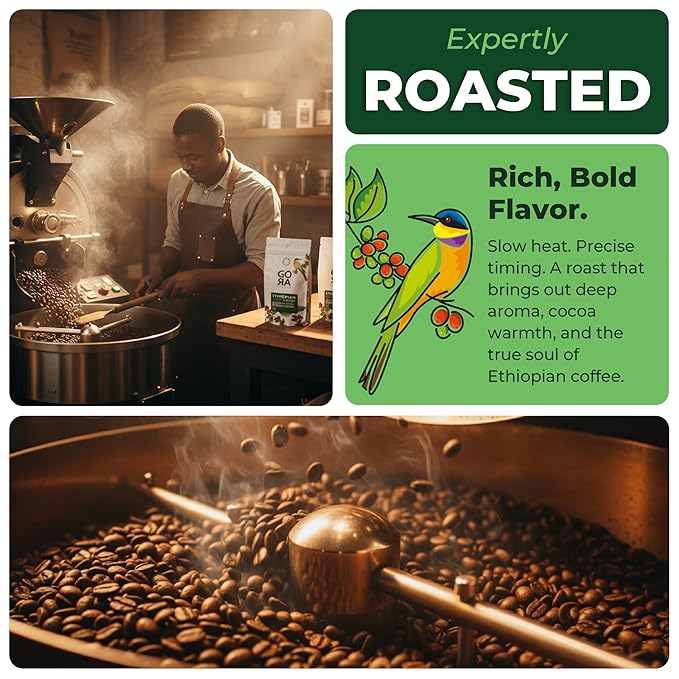 GO RA COFFEE – Ethiopian Roast Whole Bean – Organic Arabica from Ethiopia – Mycotoxin-Free, Single Origin African Beans – Roasted at Source – 250g (8.82 oz) – by Moyee Coffee