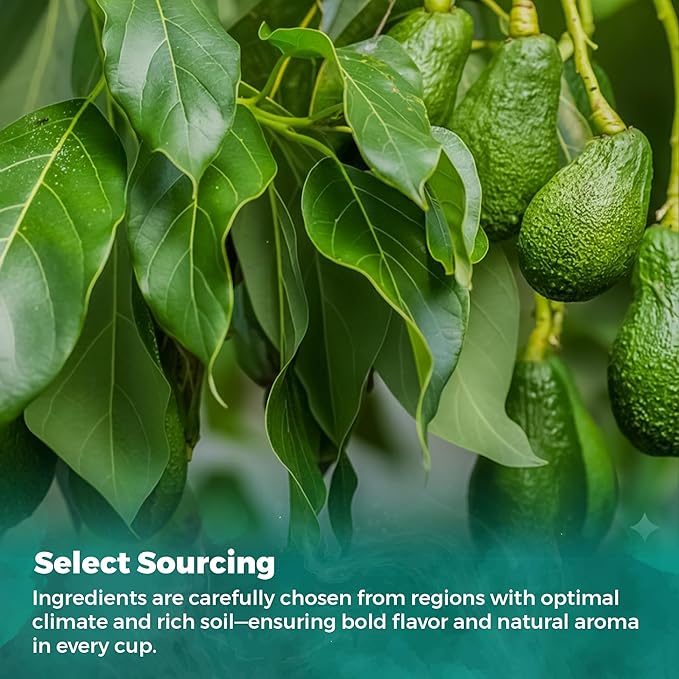 USA Fresh Avocado Leaf Tea – 100% Pure Wild-Harvested Herbal Loose-Leaf Tea, Caffeine-Free, No Additives, Natural Aroma, Grown and Packed in the USA (50 Leaves)