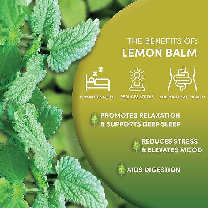 Worldwide Botanicals Organic Lemon Balm Tea, 25 Tea Bags - 50% more herbs with 2.25g per teabag - 100% Pure Lemon Balm Leaves, Kosher
