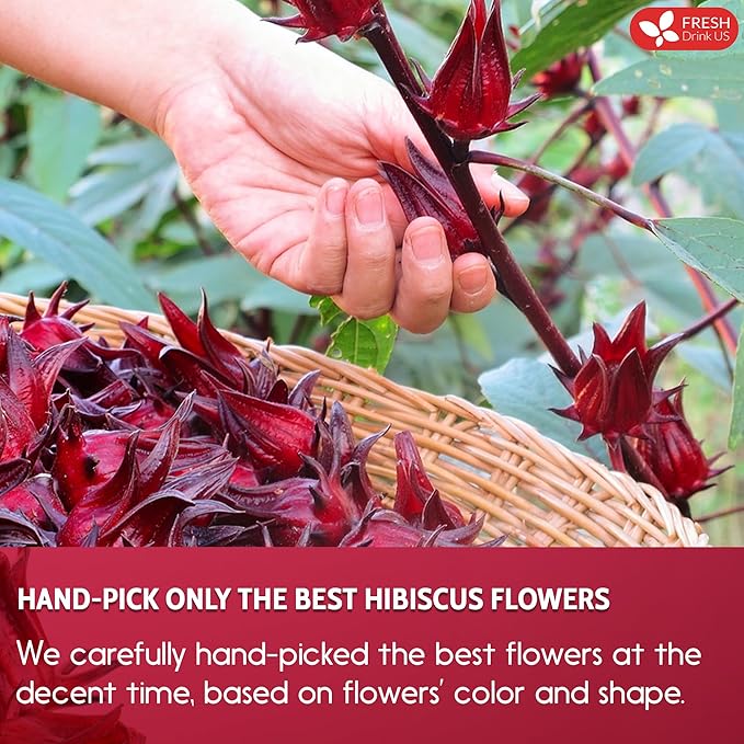 FreshDrinkUS, Premium 60 Hibiscus Flowers Tea Bags, 100% Natural & Pure, Loose Flower Herbal Tea. No Sugar, No Caffeine, No Gluten, Vegan. Great To Drink Hot Or Ice Tea