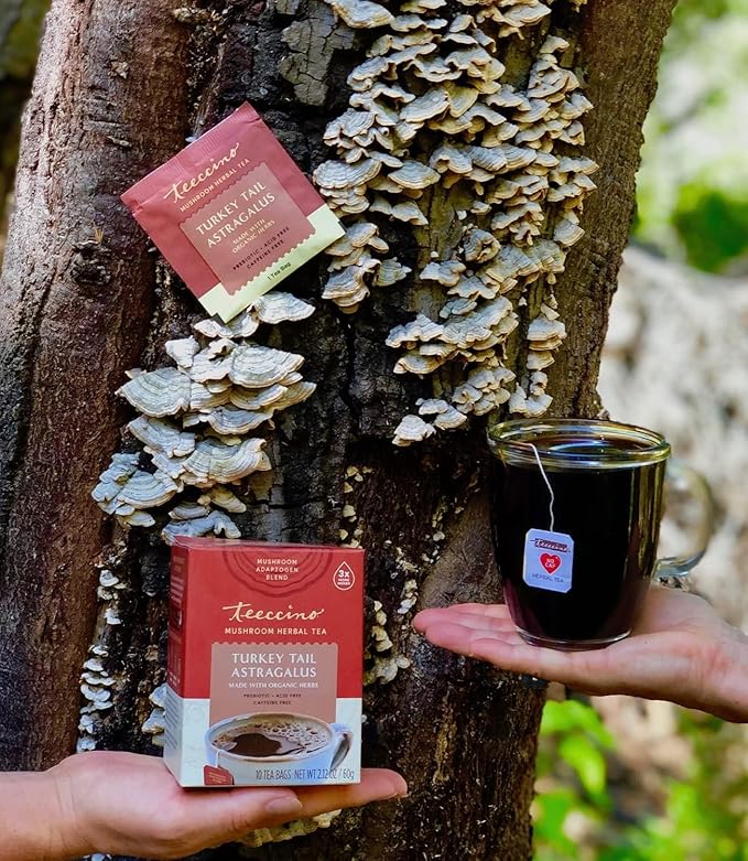 Teeccino Mushroom Herbal Tea - Turkey Tail Astragalus Toasted Maple - Caffeine Free, Prebiotic, 3x More Herbs - 25 Tea Bags, Pack of 3