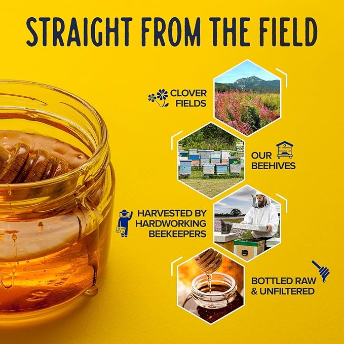 Fischer's 100% Pure Clover Honey – Unfiltered Raw Honey, 24 oz Squeeze Bottle – All-Natural Sweetener – Rich Flavor Profile, Packed with Nutrients