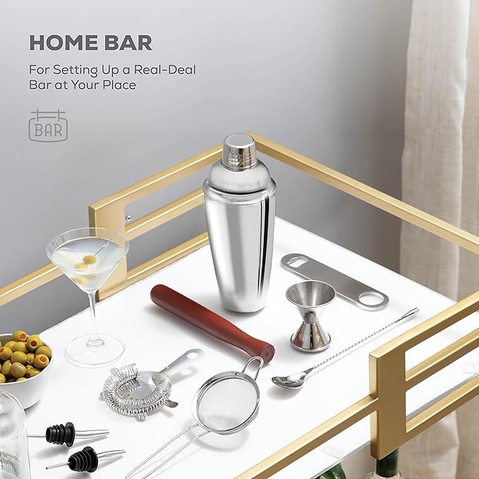 Bartender Kit & Cocktail Shaker – 10-Piece Stainless Steel Drink Mixer Set with Jigger, Strainer, Muddler & Bar Spoon, Travel Bag Included – Essential Home Bar Accessories