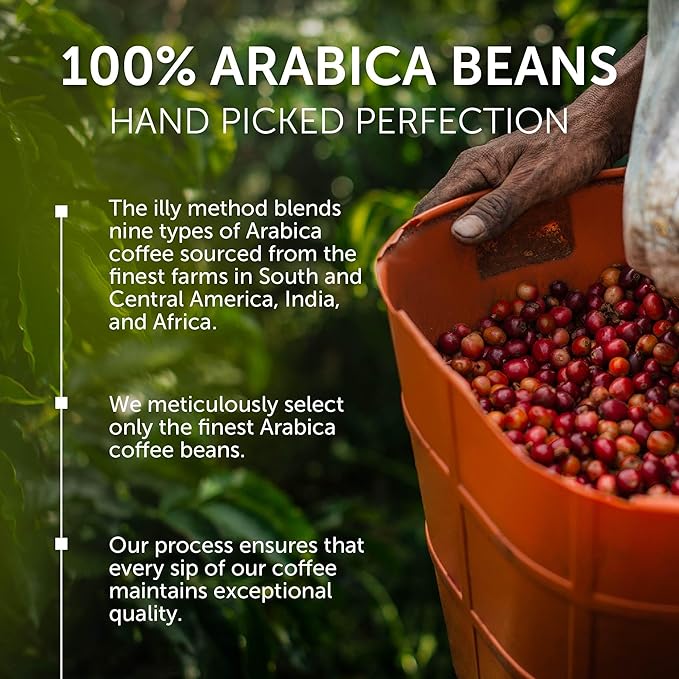 Illy Whole Bean Coffee, India Dark Roast - Notes of Black Pepper and Extra-Dark Chocolate - 100% Arabica - Whole Beans - Pressurized Packaging Sealed for Freshness - 8.8oz can (Pack of 6)
