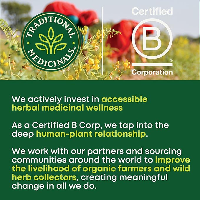 Traditional Medicinals Tea, Organic Immune Zoom Lemon Ginger, Supports Immune Function, 48 Tea Bags (3 Pack)