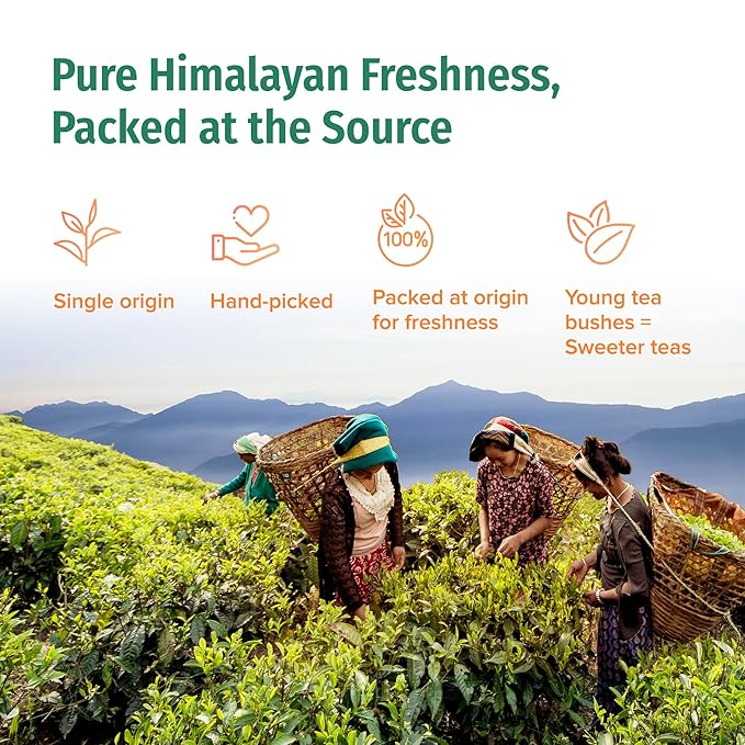 NEPAL TEA Organic Chai Tea Bags from the Himalayas, Chai Spice Blend - 15 Pyramid Tea Bags, Single Origin Chai Spice Tea - Black Tea Bags, Loose Leaf Tea Inside (Nepali Breakfast), 6 Pack