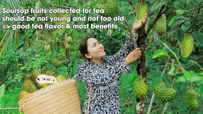 TFATHER – Soursop Fruit Tea Bags with dipping String – Soursop Fruit Fatty Aroma Sweetness Original Flavor – Free Caffeine, No Sugar, No Gluten, Non GMO, Vegan, Natural & Recyclable