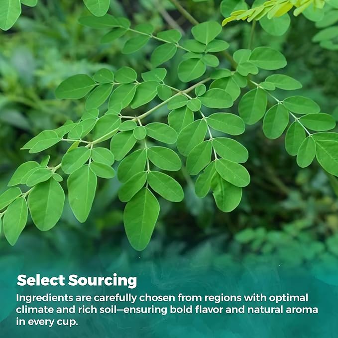 Fresh Moringa Leaf Tea from the USA – 100% Pure, Wild-Harvested Herbal Loose Leaf Tea, Natural Aroma, Caffeine-Free, Grown and Packed in the USA (8oz)