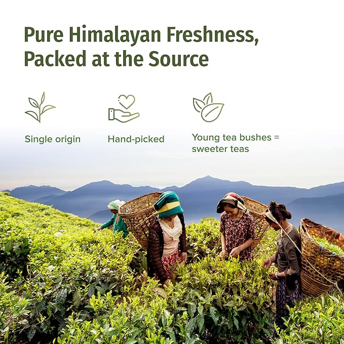 NEPAL TEA Organic Black Tea Loose Leaf - Certified Organic Premium Loose Leaf Black Tea - Single Origin from a Family Farm in the Himalayas - 3.5 Oz/100g (Himalayan Sunrise)