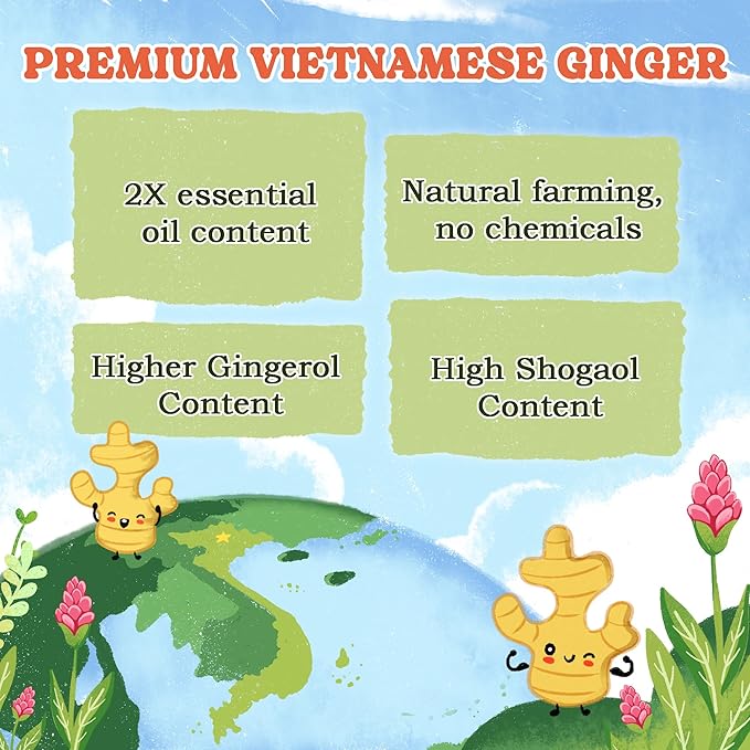 LoveinTea Ginger Herbal Tea Bags, 100% Natural Vietnamese Ginger Blend, Plant-Based Pyramid Bags, 30 Count
