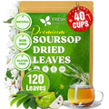 FreshDrinkUS, 120+ Premium Soursop Graviola Dried Leaves Tea, 40 Cups, 120-130 Natural Leaves, Whole Leaves, Wildcrafted, Graviola, Hoja Guanabana, Soursop Loose Leaf Herbal Tea, No Gluten, Vegan