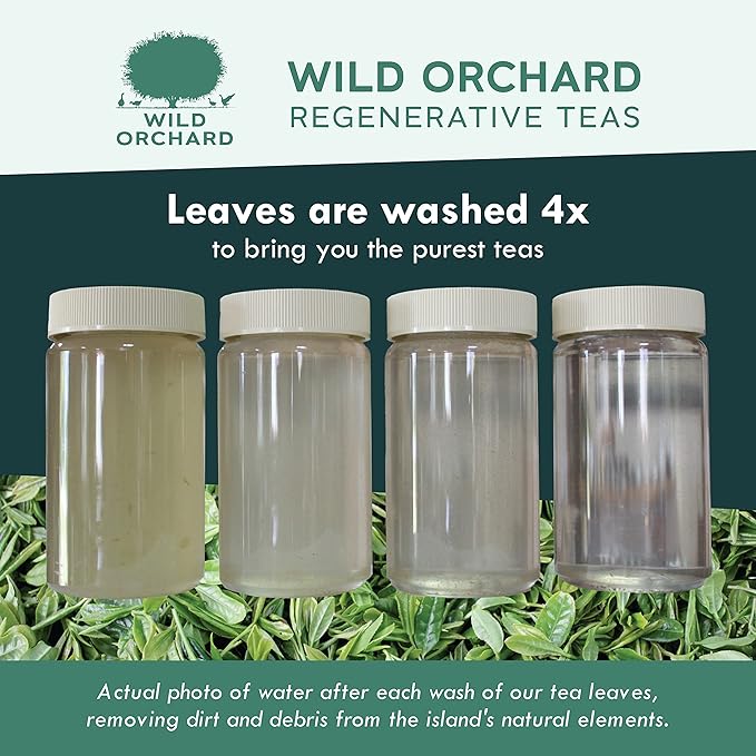 Wild Orchard Matcha Green for Lattes from Jeju Island - Premium Tea - 100% Regenerative Organic Certified - Premium Grade Matcha Green Tea Powder Cultivated on Jeju Island in South Korea