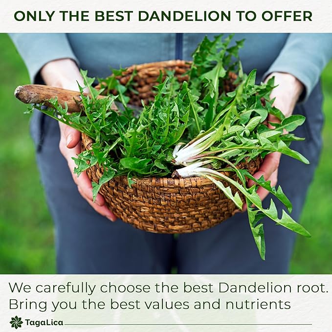 Tagalica, Premium 25 Dandelion Root Tea Bags, 100% Natural & Pure from Dandelion Root, Eco-Conscious Tea Bags, Herbal Tea. No Sugar, No Caffeine, No Gluten, Vegan.