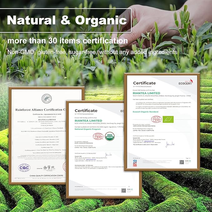 RIANTEA Organic White Tea Bag 36 Count - Cold Brew Loose Leaf Tea Bags, Biodegradable Corn Fiber Sachets, Full-Leaf, Eco-Conscious Iced Tea, Refreshing & Smooth Flavor