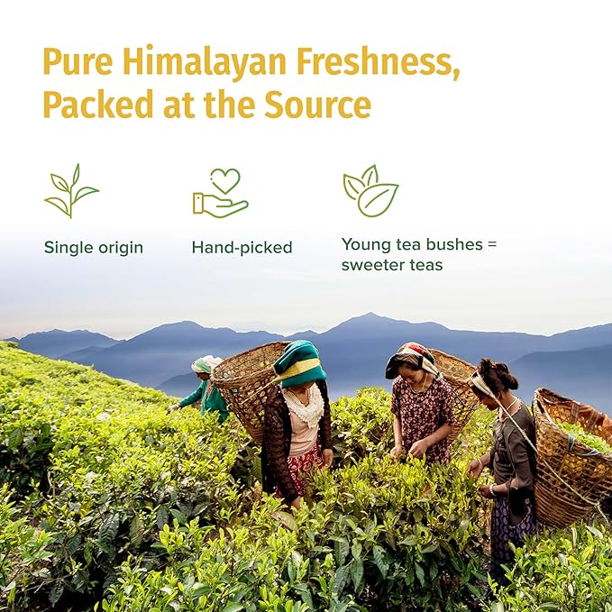 NEPAL TEA Organic Herbal Chai Tea Bags from the Himalayas - 15 Pyramid Tea Bags, Single Origin Chai Tea from a Family Farm - Caffeine Free Tea Bags with Loose Leaf Tea Inside (Kathmandu Cosmos)