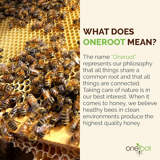 OneRoot Natural Wildflower Honey - 2.2 lbs / 1kg, Pure Canadian Boreal Forest Honey - Unpasteurized, Minimally Filtered & Single-Source - Rich in Enzymes & Antioxidants