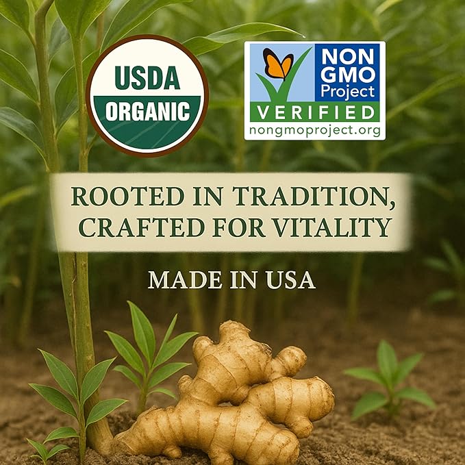 Organic Ginger Tea (100 tea bags | 7 oz | 200g)