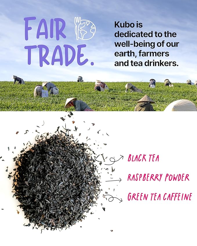 High Caffeine Iced Tea (155 mg) - Kubo Tea: Organic Raspberry Black Tea Bags for Clean Energy & Focus | Healthy Coffee Substitute | High Energy Iced Blend | 20 Ct | Compostable Packaging