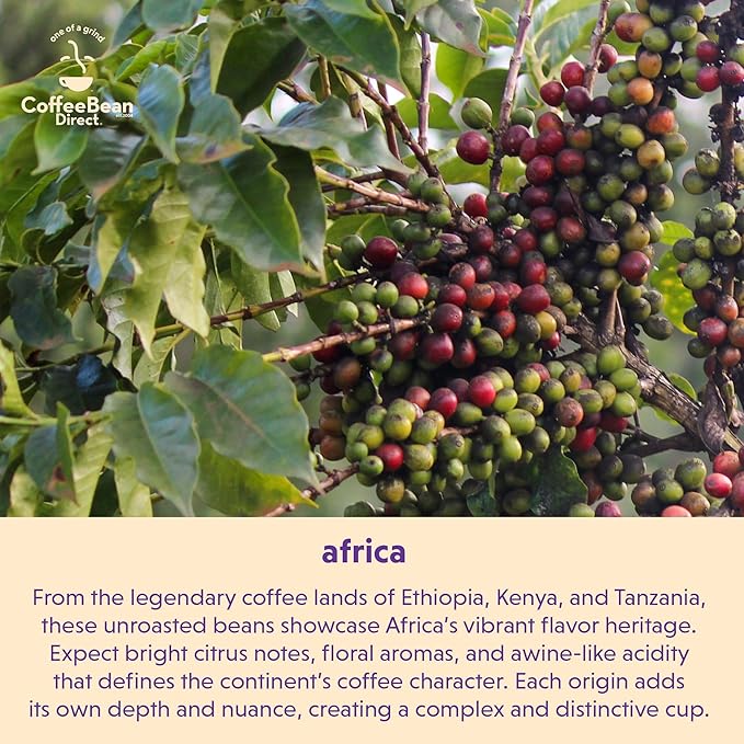 Coffee Bean Direct Unroasted Organic Fair Trade Ethiopian Yirgacheffe, 5 Pound (Pack of 1)