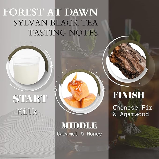 Organic Sylvan Black Tea | BREAKFAST TEA | NATURAL ANTIOXIDANTS,15 Sachet Tea Bag | By T SECRETEA, Forest at Dawn