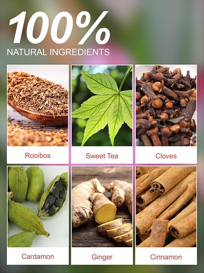 TeeLux Rooibos Chai Tea, Rooibos Tea with Cinnamon, Ginger, Clove & Cardamom, Smooth & Spicy & Sweet Flavor, Caffeine-Free, 100 Count