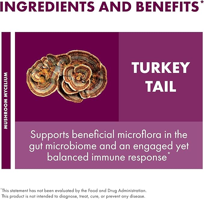 Host Defense Turkey Tail Capsules - Digestive Health & Immune Response Support Supplement - Mushroom Supplement for Gastrointestinal & Gut Microbiome Support - 120 Capsules