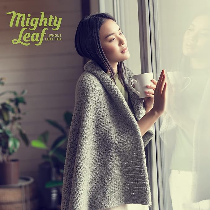Mighty Leaf Organic Spring Jasmine Green Tea – 100 Count Premium Silken Tea Bags – Foil Wrapped for Freshness – Whole Leaf Green Tea with Floral Jasmine Aroma – USDA Organic Certified