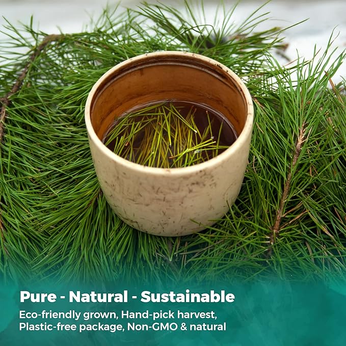 USA Fresh White Pine Needle Tea – 100% Pure Wild-Harvested USA Pine Needles, Fresh Aromatic Herbal Tea, No Additives, Premium Loose Leaf, Natural Forest Flavor (1oz)