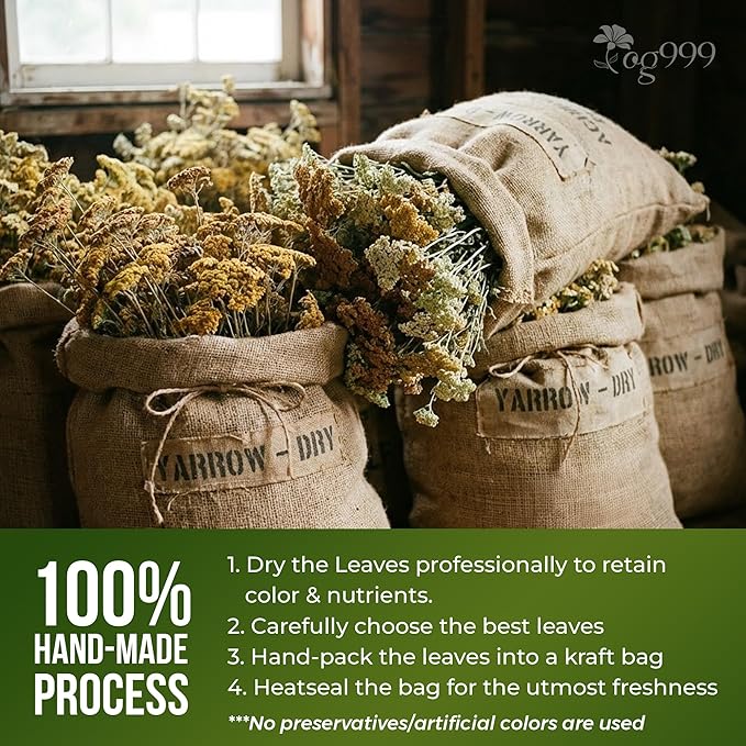 TOG999, Yarrow Tea Leaves 8oz | Premium Herbal Tea | Naturally Aromatic, Freshly Packed Loose Leaf Yarrow | Sustainably Sourced, Non-GMO, No Additives – Ideal for Daily Herbal Brewing