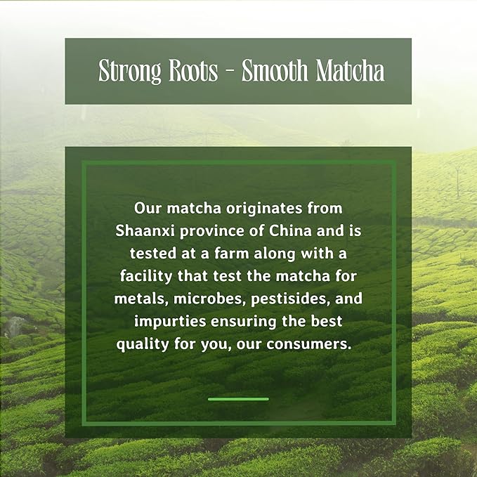 ORO MATCHA - Matcha Energy Booster Supplement (30g) - Organic Ceremonial Green Tea Powder - Blend for Focus & Clarity Support, Perfect Coffee Alternative Made - Zero Sugar, Vegan & 0 Calories