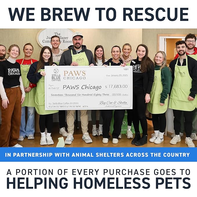 Stella Blue Cold Brew Coffee Bags, Cinnamon Sugar Donut, Medium Roast Ground Coffee, Smooth, Bold and Refreshing 100% Arabica, 6 Brew Packets, Makes 24 Cups, Rainforest Alliance Certified