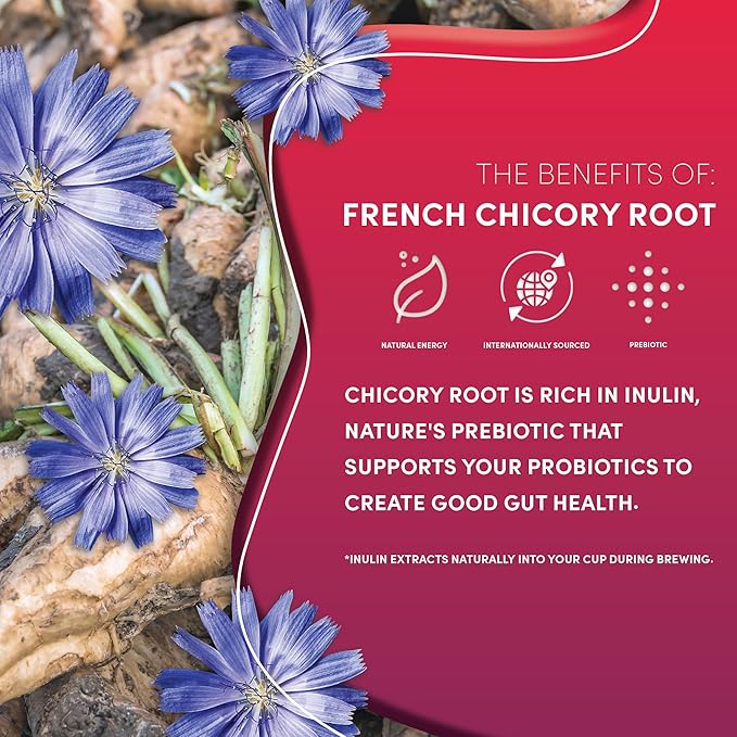 Teeccino Vanilla Nut Chicory Coffee Alternative - 11 Ounce - Ground Herbal Coffee That’s Prebiotic, Caffeine Free & Acid Free, Medium Roast