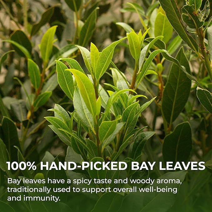 Bay Leaves Tea - 150 Dried Whole Leaves, 1.06 oz, Hojas de Laurel, 100% Natural Sun Dried, Caffeine-Free Herbal Tea, For Brewing or Cooking, Immune & Wellness Support
