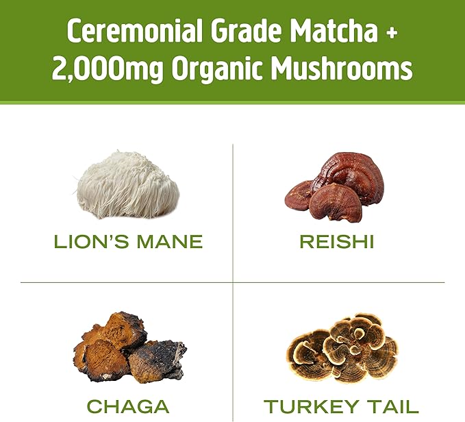 OM MUSHROOM SUPERFOOD Matcha Latte Blend – Green Tea Mushroom Powder with Lion’s Mane, Reishi, Chaga & Turkey Tail – Focus, Calm & Stress Support – Single Serve Packets (10 Count)