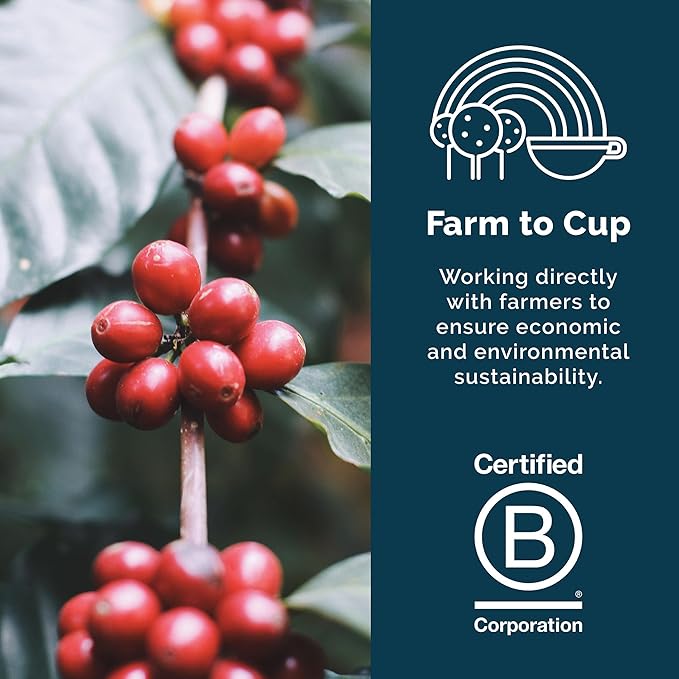 Stone Creek Coffee Cream City Cheer Box Dark, Medium and Light Roast, (8 Oz, Pack of 3) – Whole Bean Coffee Sampler, Holiday Limited-Edition Gift Set, Bright, Smooth and Bold Fresh Roasted Coffee Beans