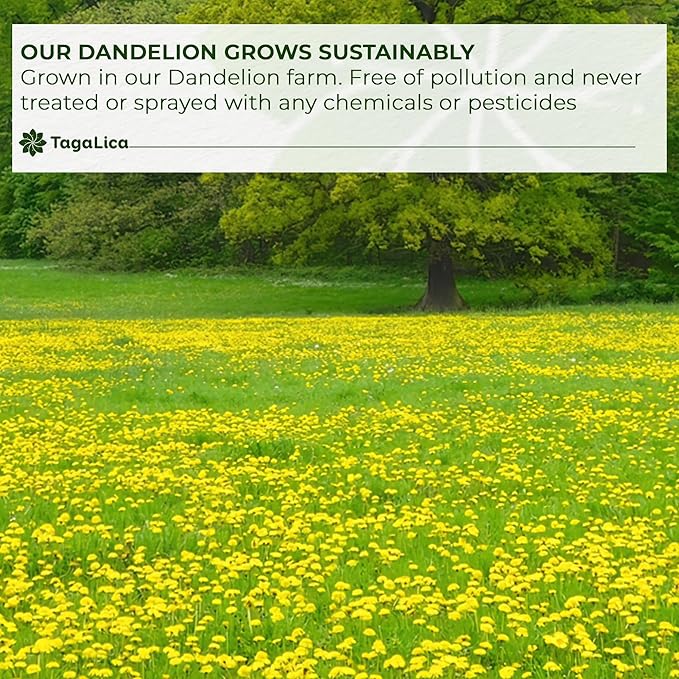 Tagalica, Premium 25 Dandelion Root Tea Bags, 100% Natural & Pure from Dandelion Root, Eco-Conscious Tea Bags, Herbal Tea. No Sugar, No Caffeine, No Gluten, Vegan.