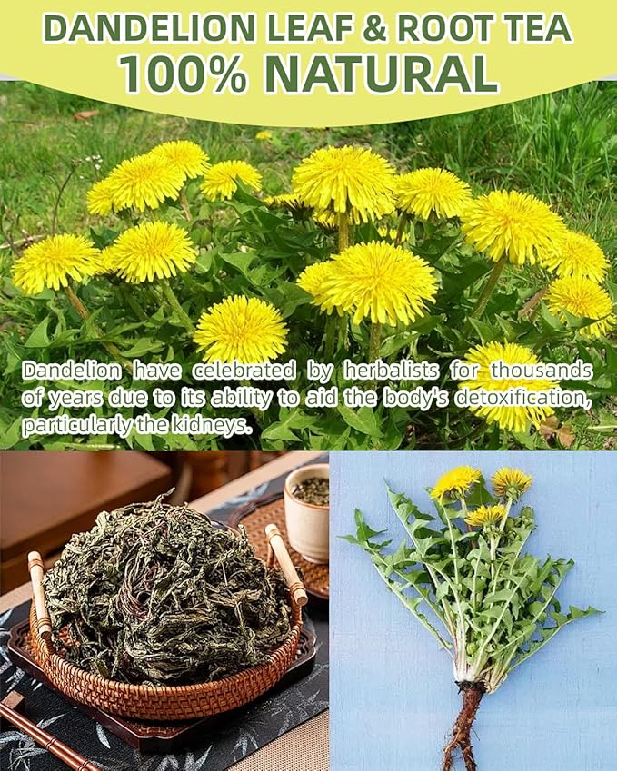 120 Teabags - Dandelion Leaf & Root Tea Bags, Natural Herbal Tea for Liver & Kidney Health, Supports Digestion & Boosts Immune System - Caffeine-Free, Non-GMO, No Additives